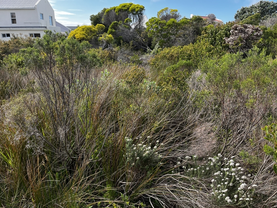 0 Bedroom Property for Sale in Bettys Bay Western Cape